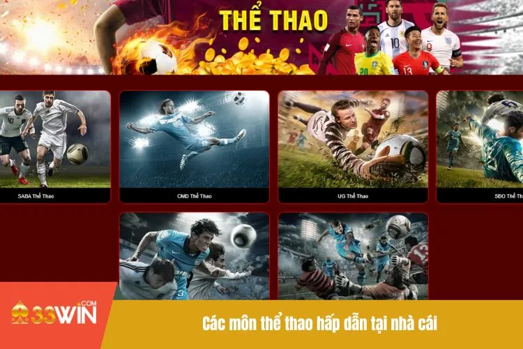 Các môn thể thao hấp dẫn tại nhà cái