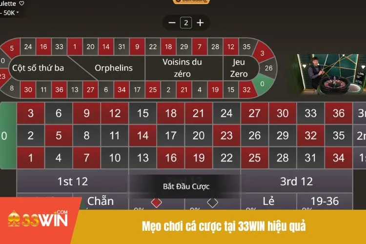 Mẹo chơi cá cược tại 33WIN hiệu quả