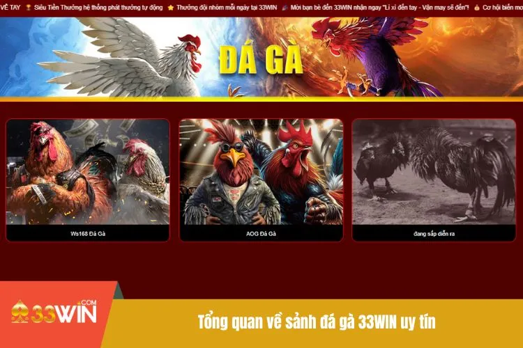 Đá Gà 33WIN - Nơi Hội Tụ Những Trận Đấu Chọi Kê Top 1